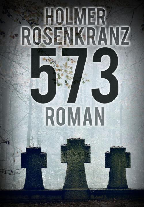 Cover of the book 573 by Holmer Rosenkranz, BookRix