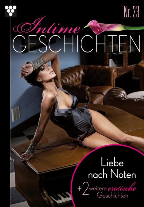Cover of the book Intime Geschichten 23 – Erotikroman by Susan Perry, Kelter Media