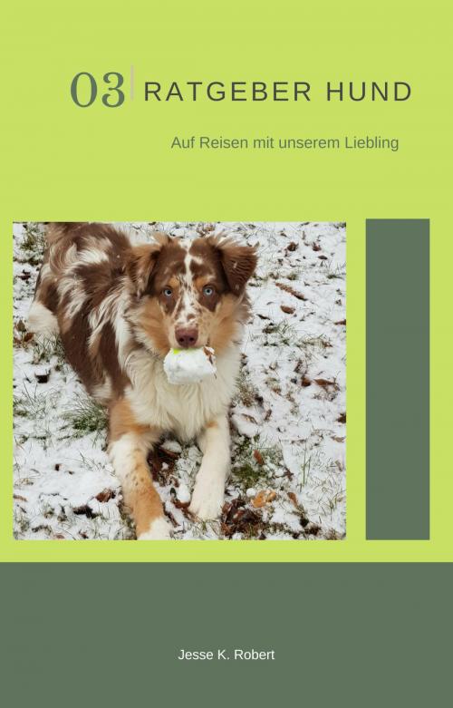 Cover of the book Ratgeber Hund by Jesse K. Robert, neobooks