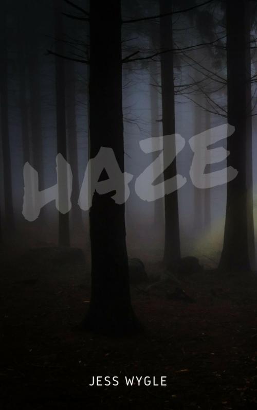 Cover of the book Haze by Jess Wygle, BookRix