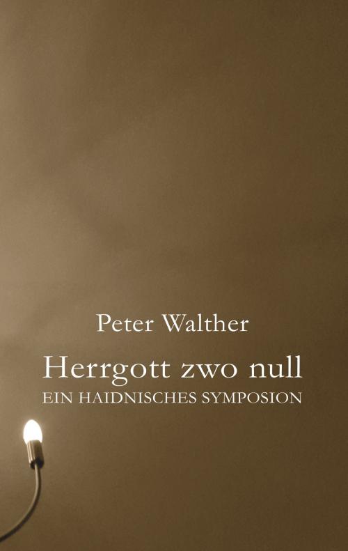 Cover of the book Herrgott zwo null by Peter Walther, Books on Demand