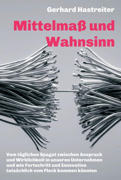 Cover of the book Mittelmaß und Wahnsinn by Gerhard Hastreiter, tredition