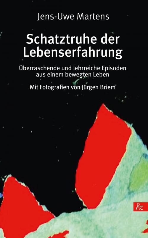 Cover of the book Schatztruhe der Lebenserfahrung by Jens-Uwe Martens, Buch&media