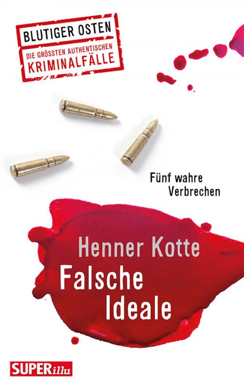 Cover of the book Falsche Ideale by Henner Kotte, Bild und Heimat