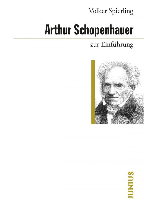 Cover of the book Arthur Schopenhauer zur Einführung by Volker Spierling, Junius Verlag