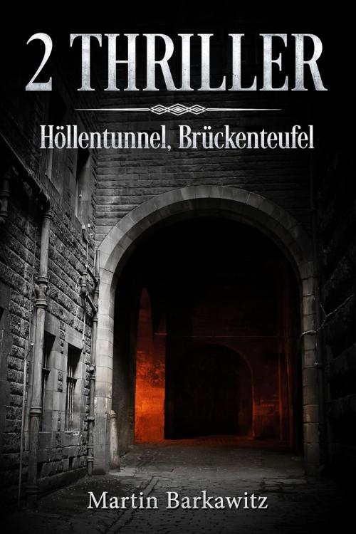 Cover of the book 2 Thriller by Martin Barkawitz, Elaria
