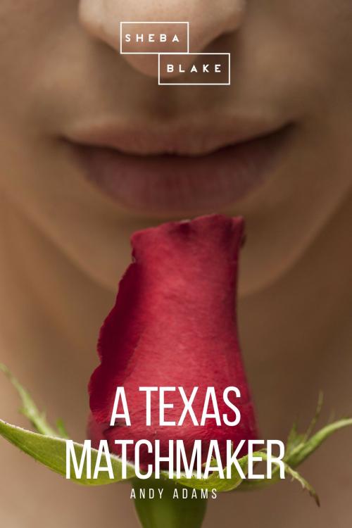 Cover of the book A Texas Matchmaker by Andy Adams, Sheba Blake, Sheba Blake Publishing