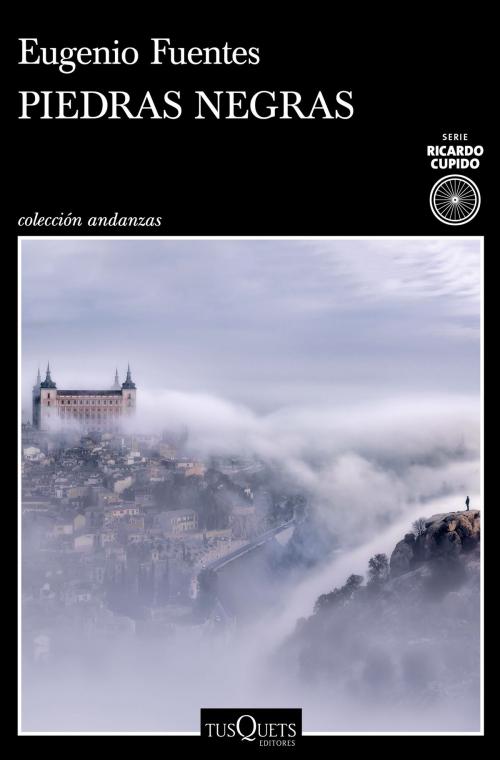 Cover of the book Piedras negras by Eugenio Fuentes, Grupo Planeta