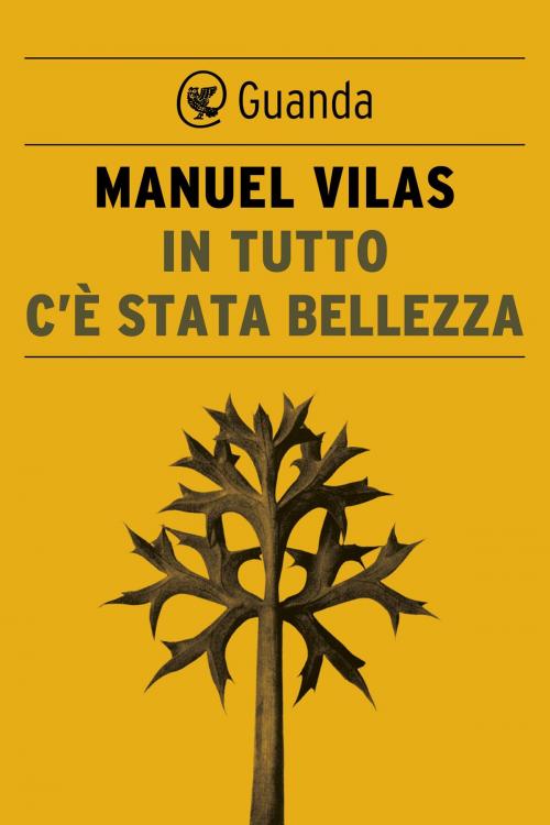 Cover of the book In tutto c'è stata bellezza by Manuel Vilas, Guanda