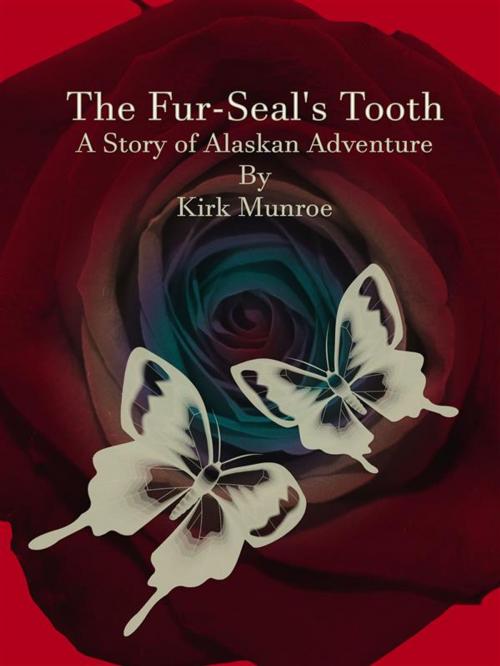 Cover of the book The Fur-Seal's Tooth by Kirk Munroe, Publisher s11838