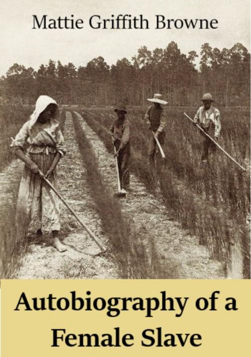 Cover of the book Autobiography of a Female Slave by Martha Griffith Browne, Andura Publishing