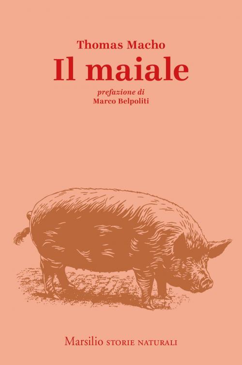 Cover of the book Il maiale by Thomas Macho, Marco Belpoliti, Marsilio
