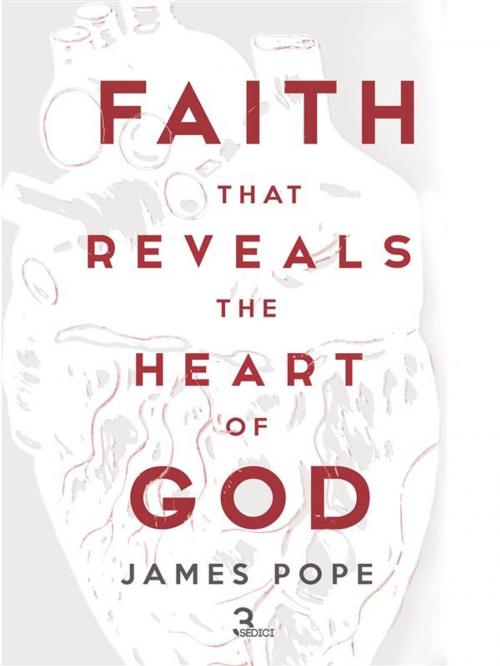 Cover of the book Faith that Reveals the Heart of God by James Pope, Fabio Vieira De Franca