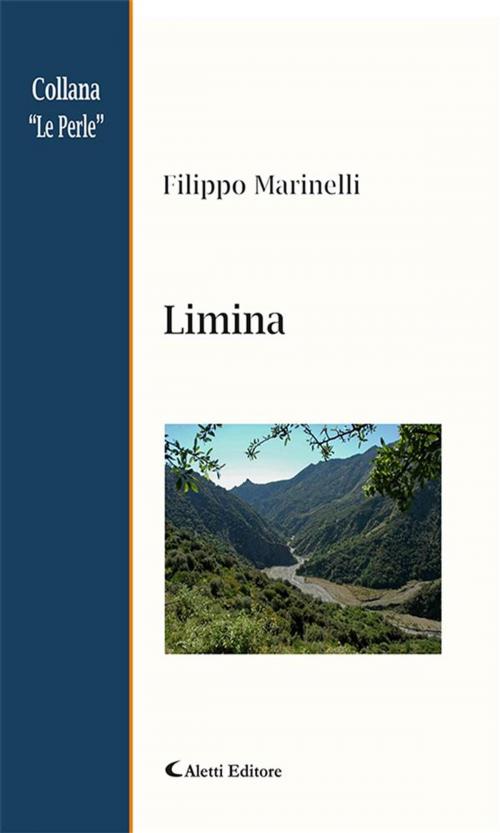 Cover of the book Limina by Filippo Marinelli, Aletti Editore