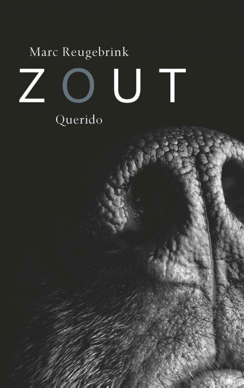 Cover of the book Zout by Marc Reugebrink, Singel Uitgeverijen