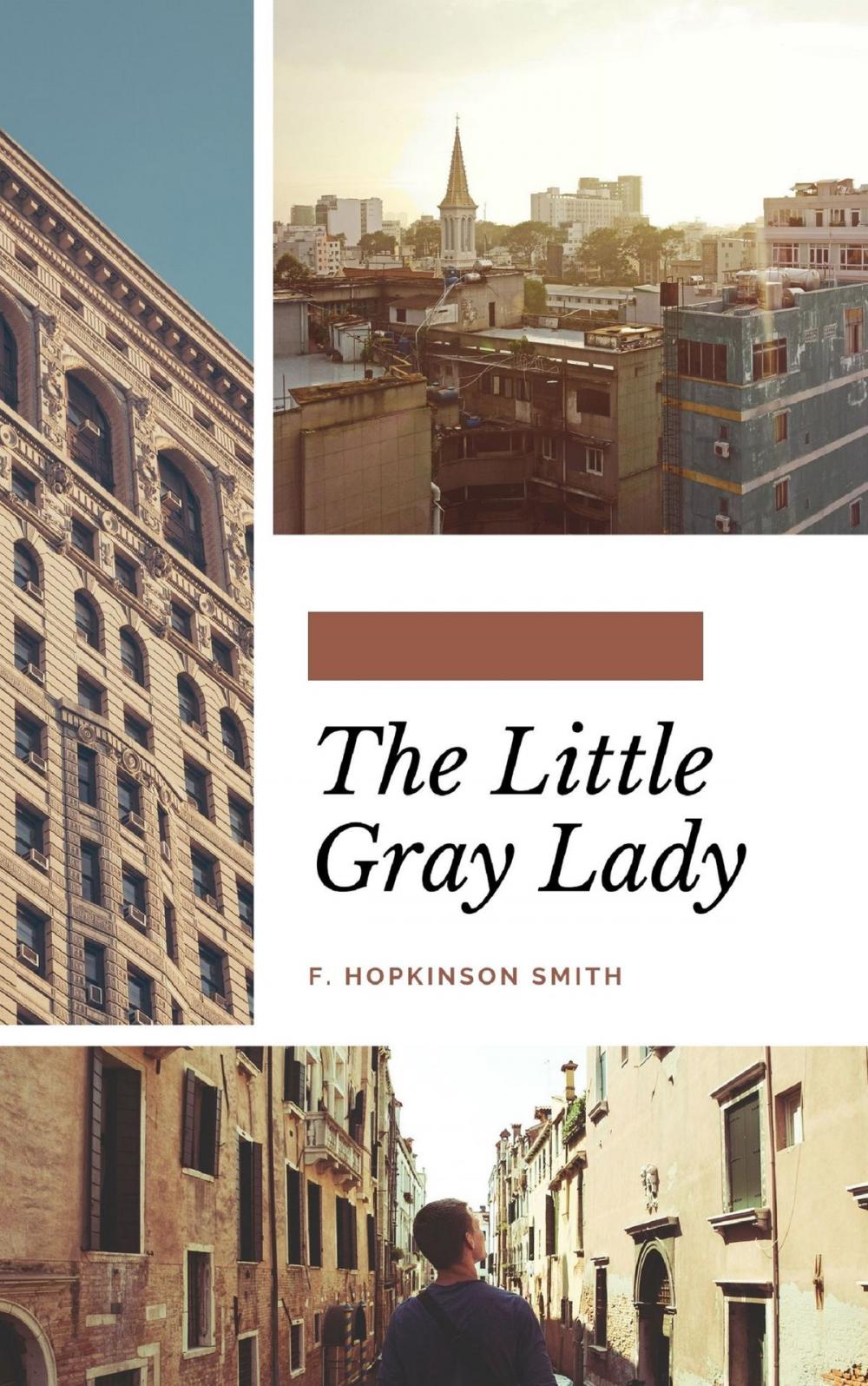 Big bigCover of The Little Gray Lady