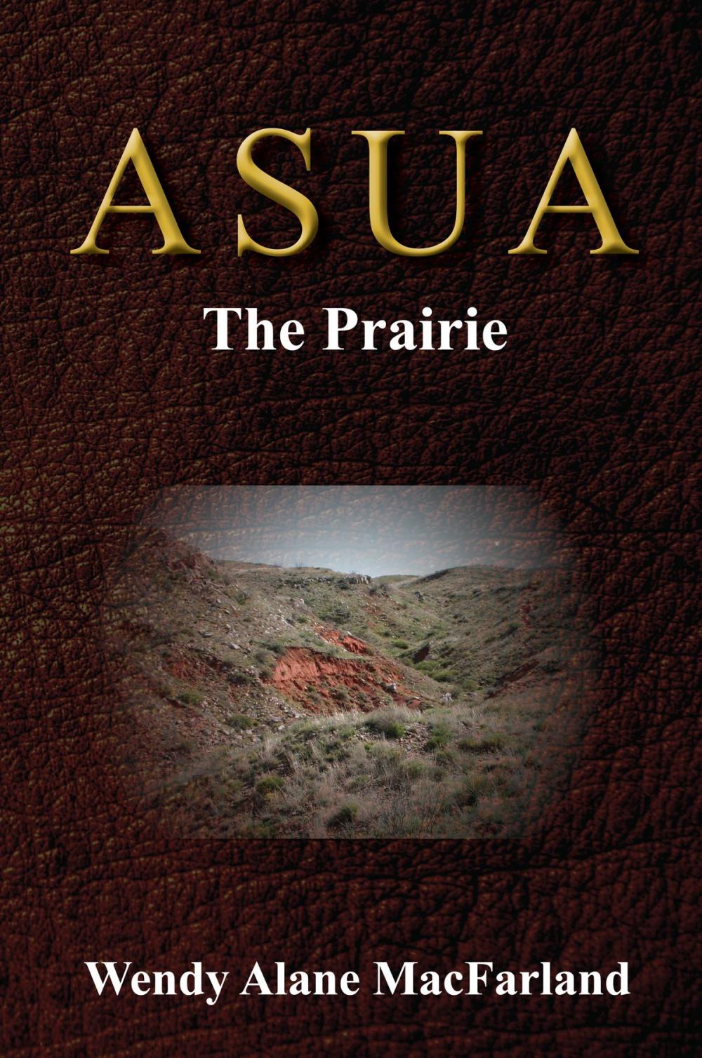 Big bigCover of Asua: The Prairie