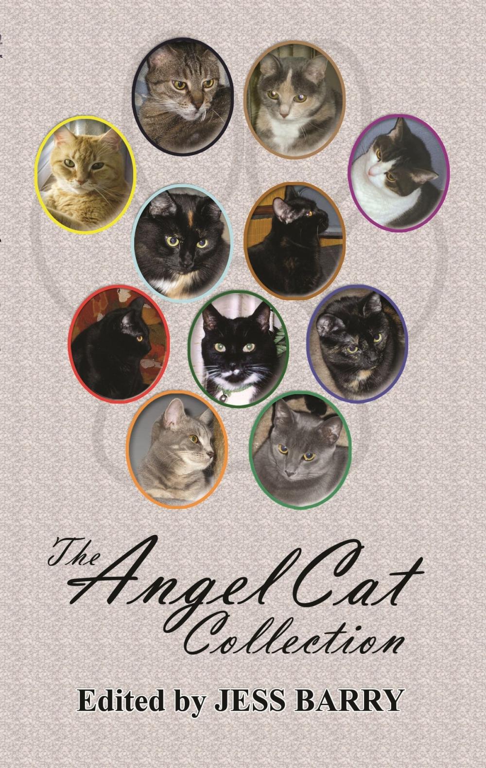 Big bigCover of The Angel Cat Collection