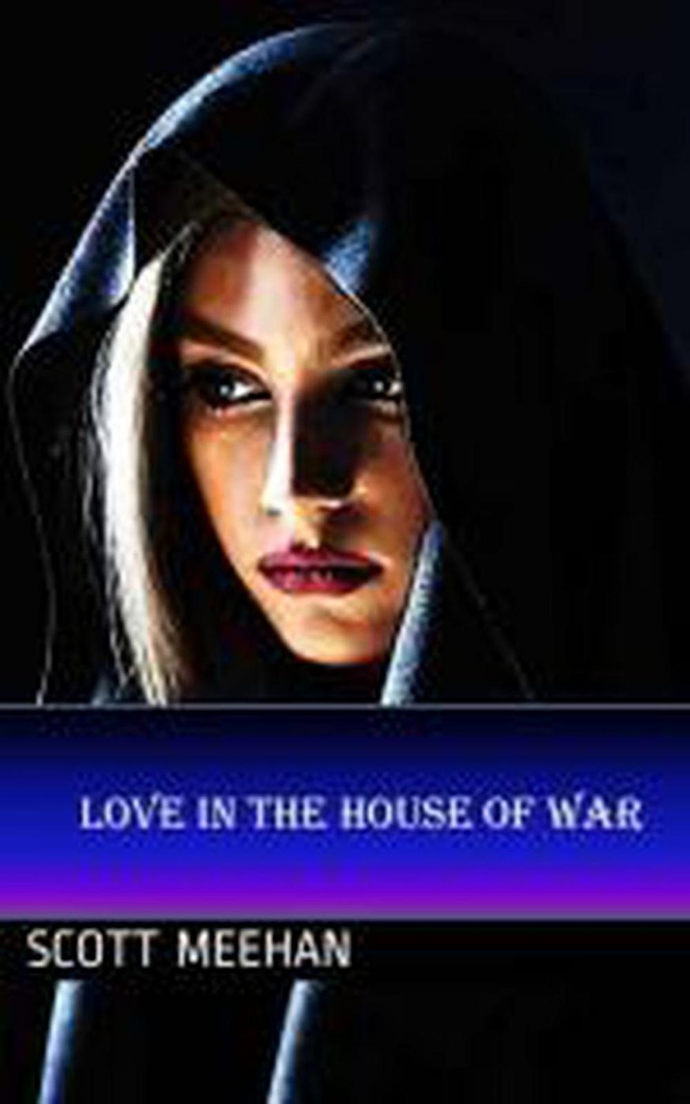 Big bigCover of Love In The House Of War