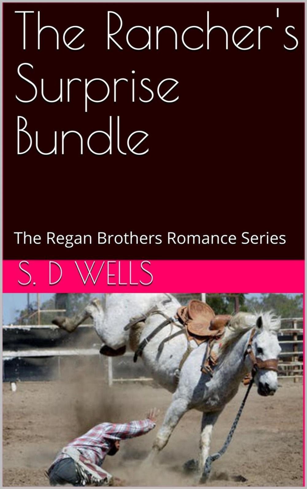 Big bigCover of The Rancher's Surprise Bundle