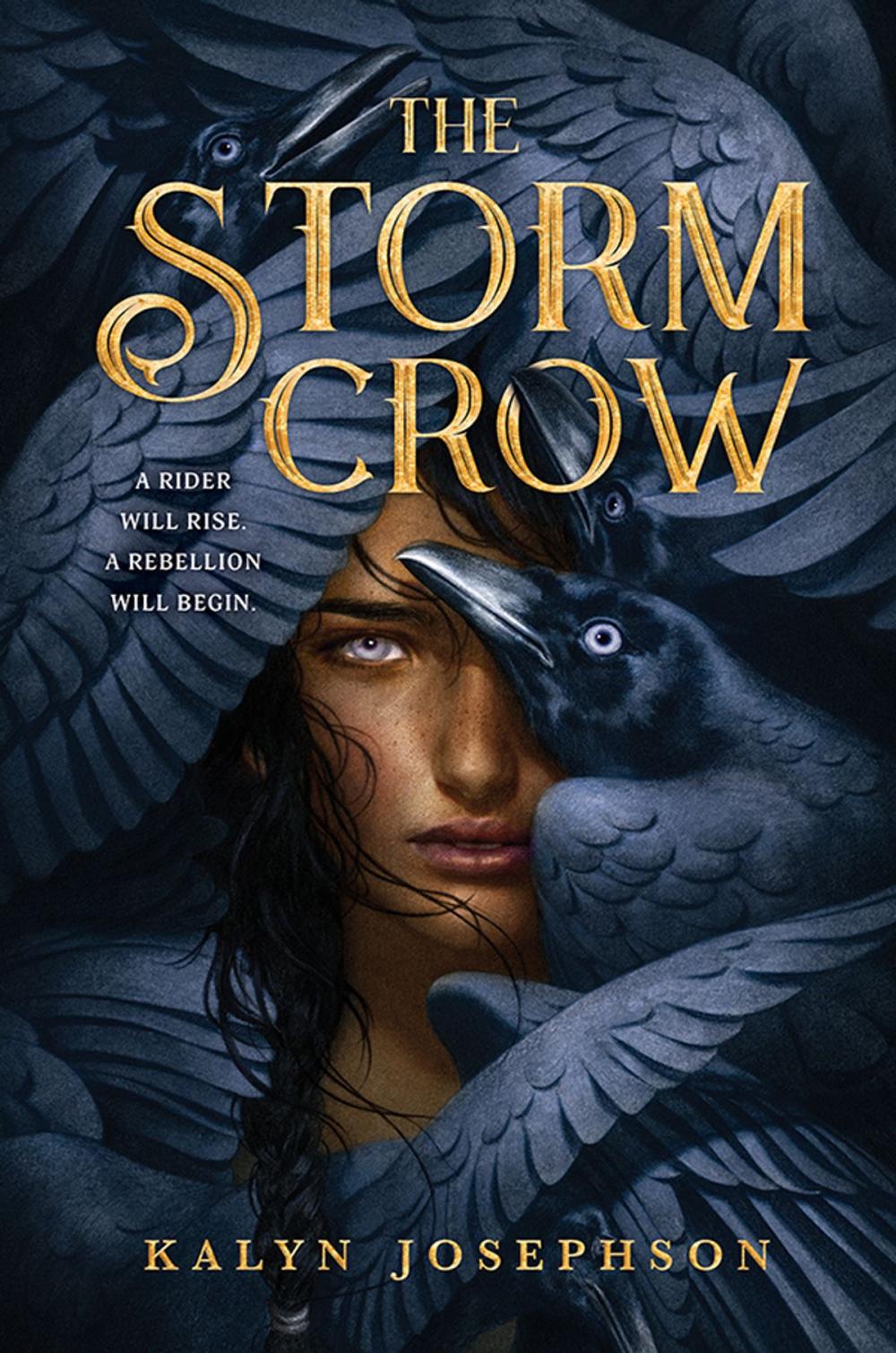 Big bigCover of The Storm Crow
