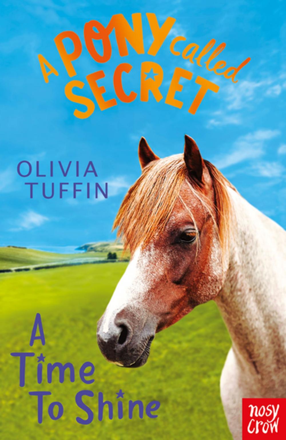 Big bigCover of A Pony Called Secret