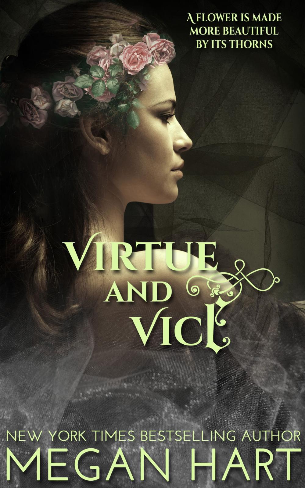 Big bigCover of Virtue and Vice