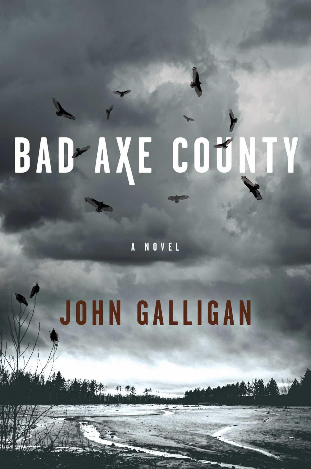 Big bigCover of Bad Axe County