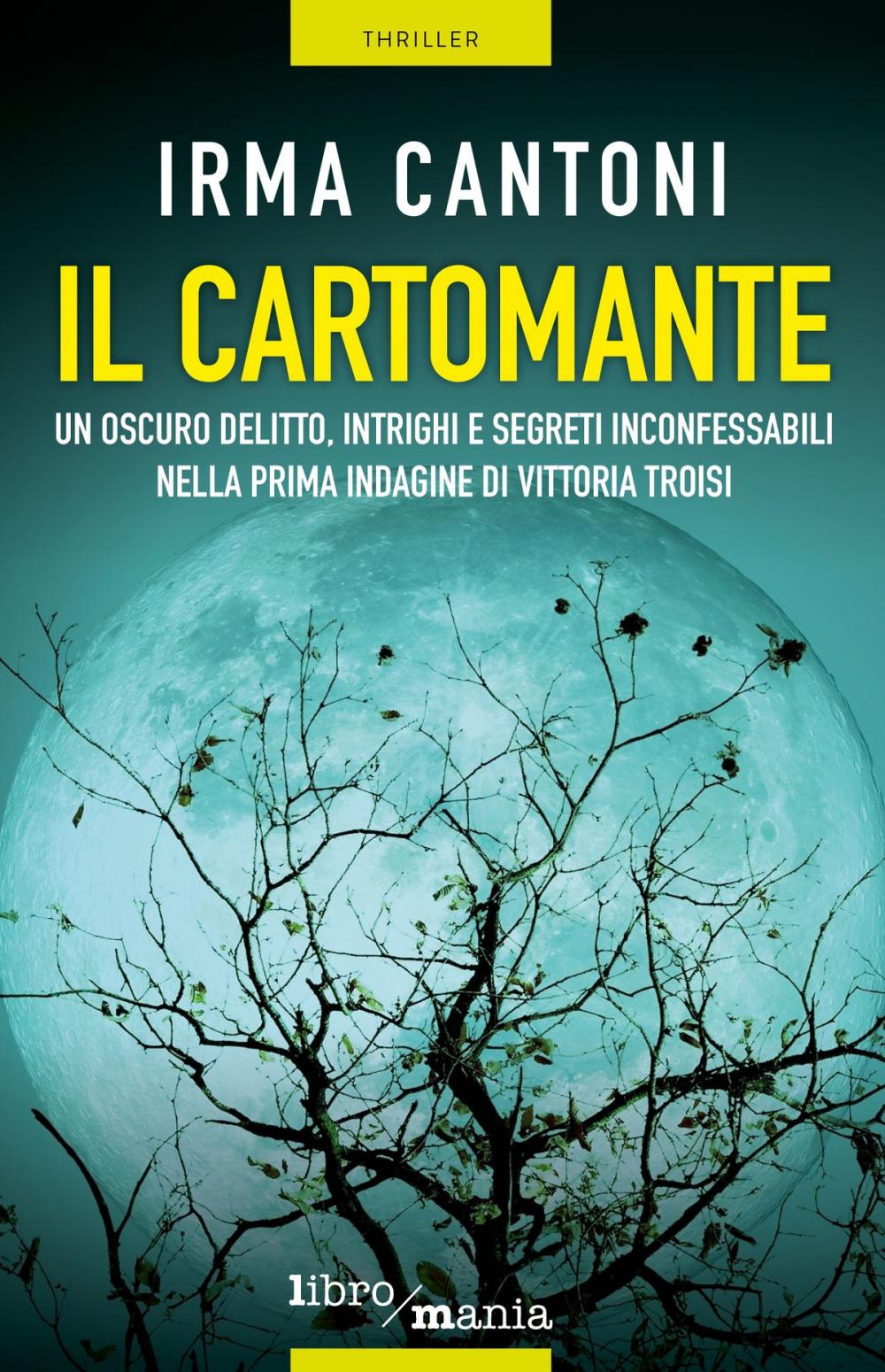 Big bigCover of Il cartomante