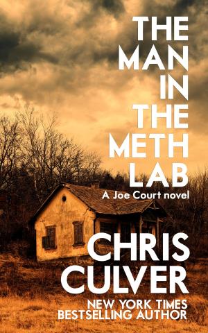 Cover of the book The Man in the Meth Lab by Patrick Delperdange