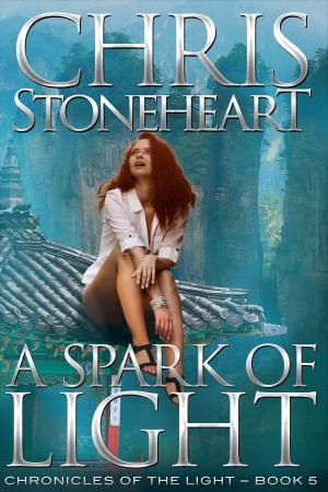 Book cover of A Spark of Light