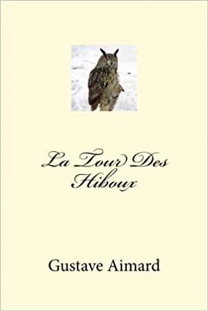 Cover of the book La Tour des hiboux by Errol Bouchette