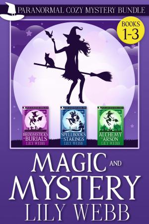 Cover of the book Magic and Mystery by oswin dacosta