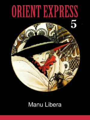 Cover of the book Orient Express 5 by J.B. Rogers