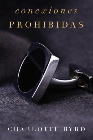 Book cover of Conexiones prohibidas