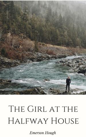 bigCover of the book The Girl at the Halfway House by 