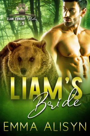 bigCover of the book Liam's Bride by 