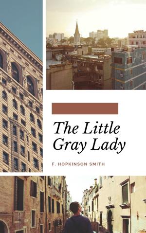 Cover of the book The Little Gray Lady by Captain Mayne Reid