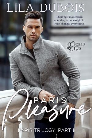 Cover of the book Paris Pleasure by Sonny Cherrito