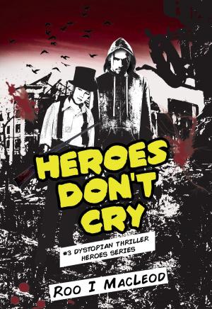 Cover of the book Heroes Don't Cry by Jerome Charyn