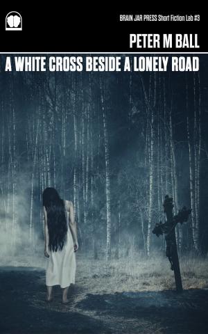Cover of the book A White Cross Beside A Lonely Road by Andrew Mowere