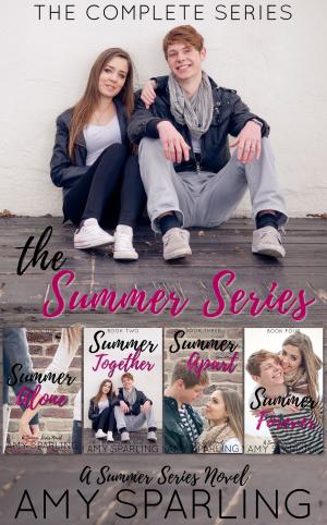 Book cover of The Summer Series
