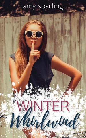 Book cover of Winter Whirlwind