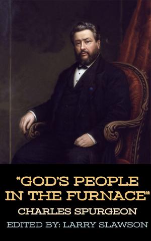 Book cover of God's People in the Furnace
