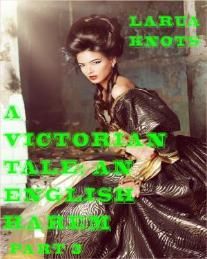Cover of A Victorian Tale: An English Harem Part 3