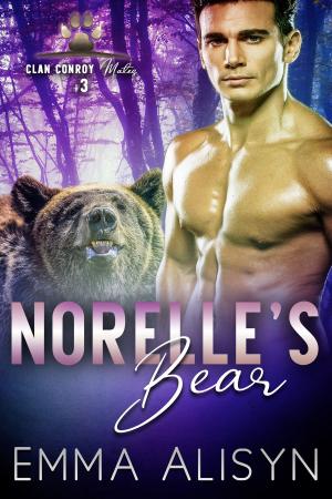 Cover of the book Norelle's Bear by Marisa Oldham, S.M. Rose, Noah Wilde, Emma Payne