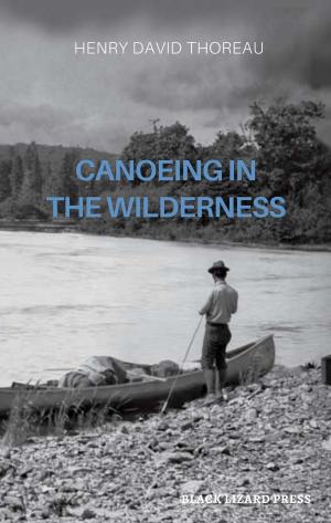 Book cover of Canoeing in the Wilderness