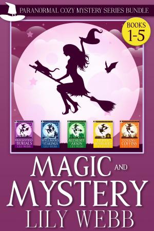 Cover of the book Magic and Mystery by Martin Barkawitz