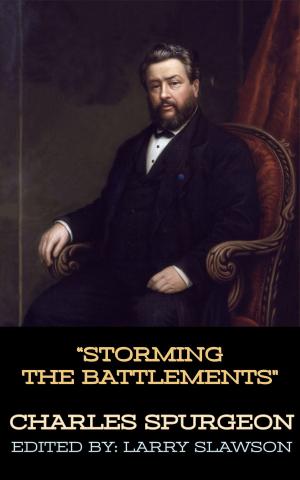 Book cover of Storming the Battlements