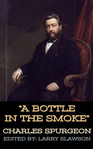 bigCover of the book A Bottle in the Smoke by 